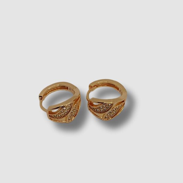 Cópia de REVB0012 PICTURES (66) Créoles motif feuille Rhodié